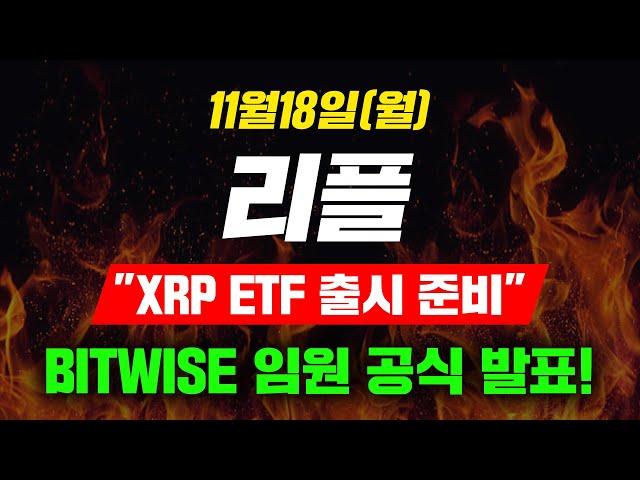 [긴급속보] 11월18일 (월) 리플 "XRP ETF 출시 준비" BITWISE 임원 공식 발표! #리플 #리플전망 #리플코인