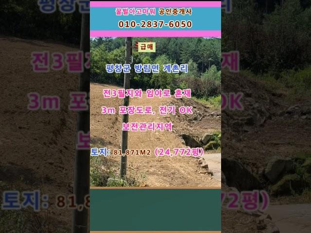 (급매) 평창군 방림면 계촌리 전 임야 토지 24,772평