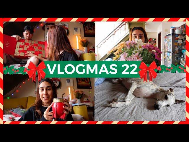  VLOGMAS 22  NEIGHBORHOOD CONFLICTS AND THE LAST GASPS OF THE ADVENT CALENDAR