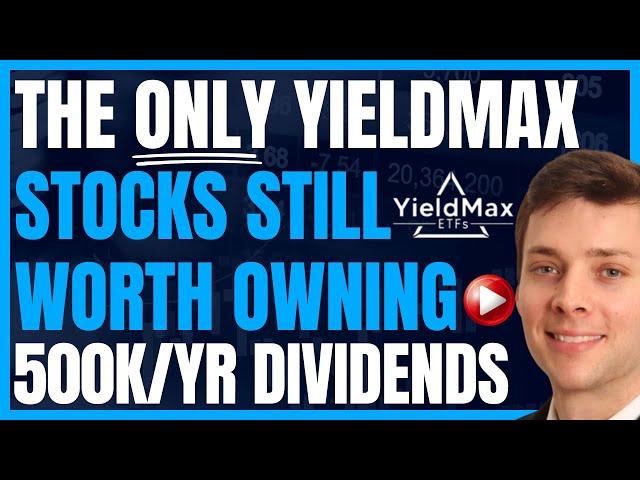 The ONLY Yieldmax Stocks I’ll Own In A Market Recovery (High Yield Dividend Stocks) #FIRE