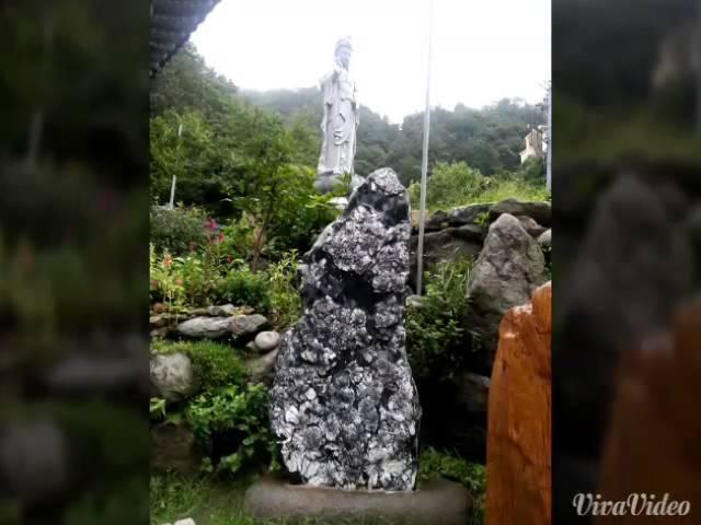 허정화 포항에서 울릉까지