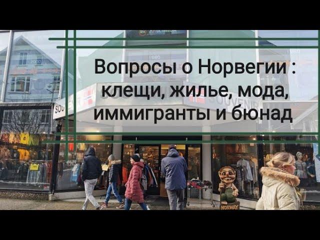 Вопросы о Норвегии : клещи, мода, жилье, рабочий день, бюнад, массажные салоны и тд