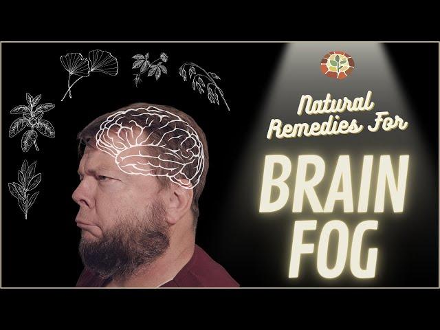Natural Remedies for Brain Fog - Plants that Support Cognition, Memory, and Focus