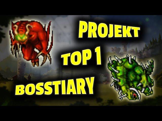 Tibia - Projekt TOP 1 w Bosstiary - Podsumowanie #7