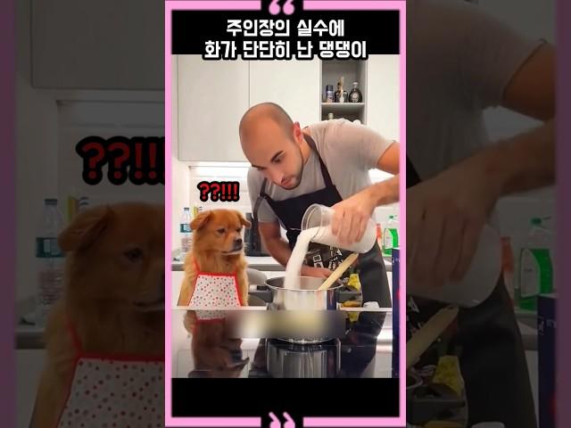 The dog is very angry at the owner's mistake