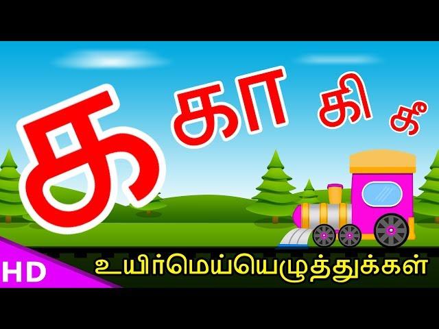 Learn ka kaa Varisai Tamil Basic Alphabets க க கி கி கு கூ Uirmai Eluthukal – KidsTv Sirukathaigal