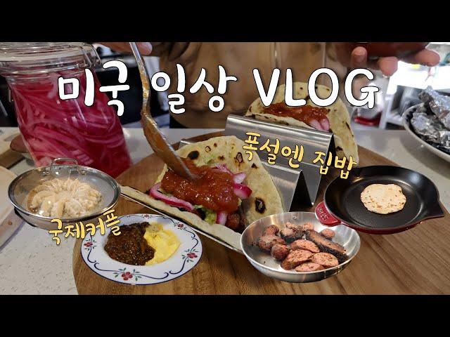 미국일상 VLOG‍폭설엔 집밥이지, 코스트코 육개장, 수제 또띠아, 과콰몰리, 눈꽃만두, 오므하야시라이스, 국제커플 집밥 브이로그