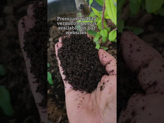 Pure vermicompost available our website #orgenic #fertilizer #vermicompost #plants #nature