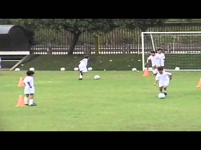 Developmental Philosophy of Brazil avi