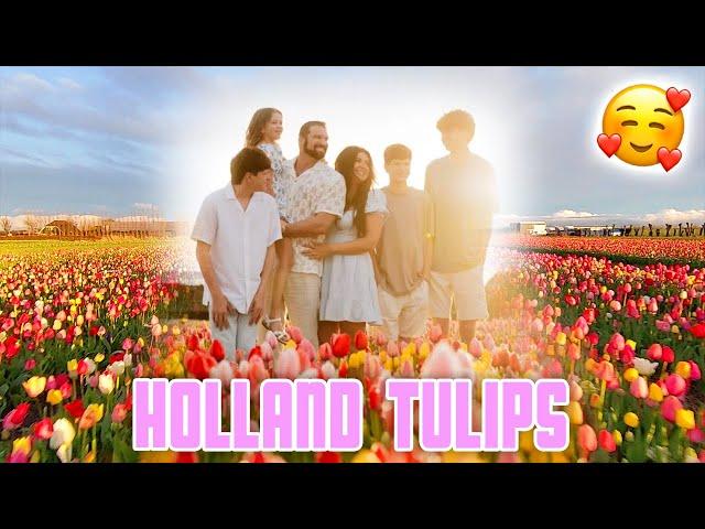 OUR LIFE IN HOLLAND | THE REAL STORY