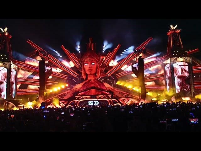 Zedd en EDC México Full Set 2024