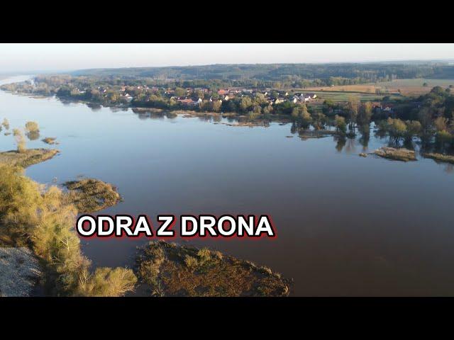 Odra zaczyna wylewać. Odra z drona, Połęcko, Łomy, Powódź 22.09.2024.