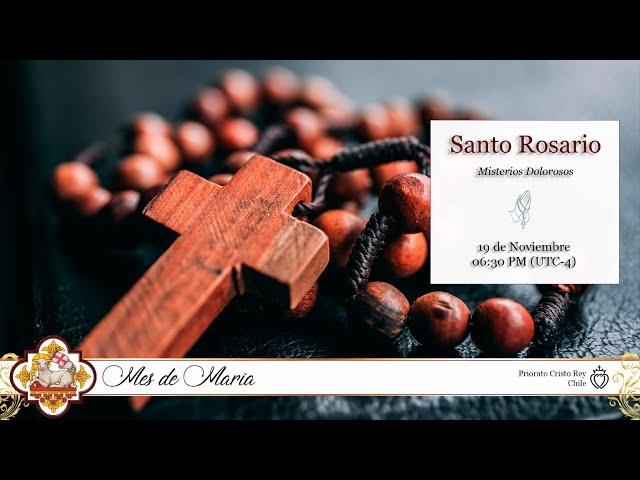 El Santo Rosario de Hoy - 19/Nov/2024