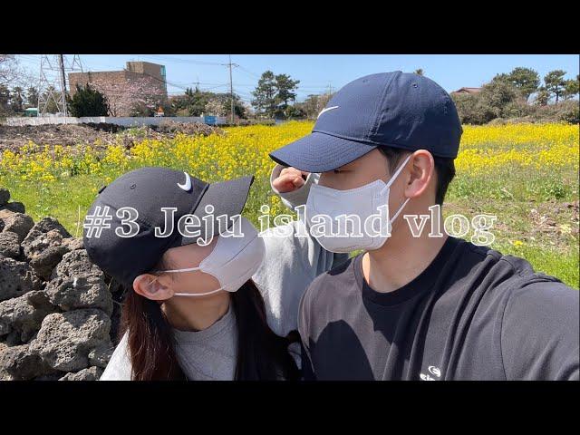 Travel vlog #3_제주_금오름, 우도근고기, 협재신국수, 광해, 유채꽃, 당당