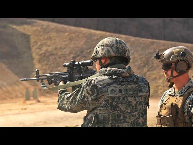 US and South Korean Marines infantry live fire weapons training