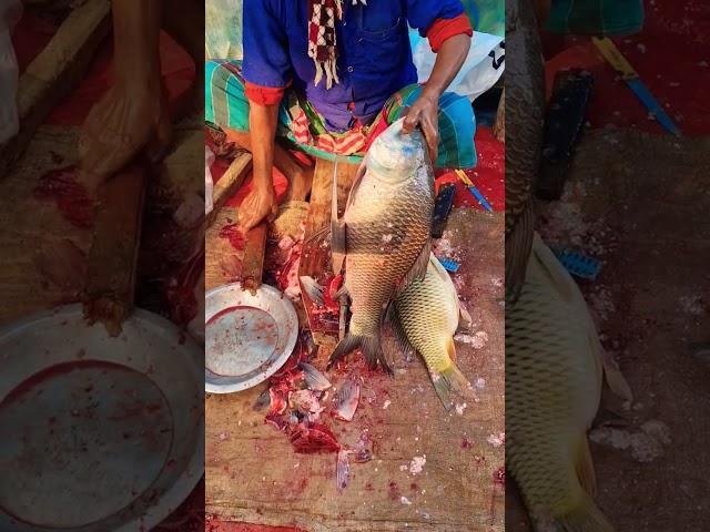 Amazing big katla fish cutting skills #foryou #shorts #youtube #fish #food ##fishcutting #streetfood