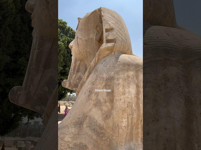 Stunning Detail on this Memphis Sphinx #shorts #egypt #travel