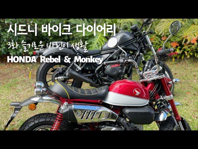 혼다 몽키 필수 커스텀! 바이크초보 Honda Monkey custom parts # 시드니바이크다이어리3화 # 슬기로운바린이생활 # 시드니록다운거리뷰 # 혼다레블500