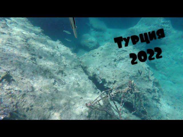 Турция 2022. Жители Средиземного моря. Такое не везде увидешь!