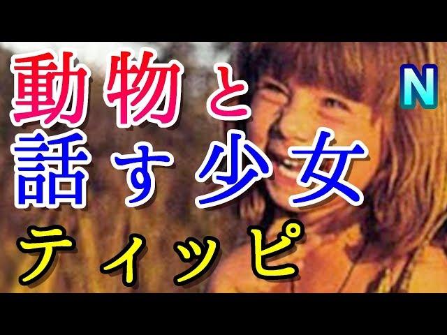奇跡の少女ティッピ！野生動物と会話しながら育った彼女の４つの言葉