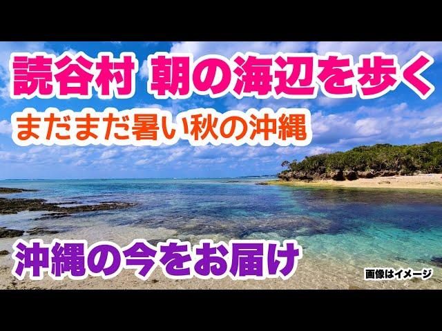 【沖縄の今をお届け】 読谷村 朝の海辺を歩く。まだまだ暑い秋の沖縄「沖縄旅行情報」