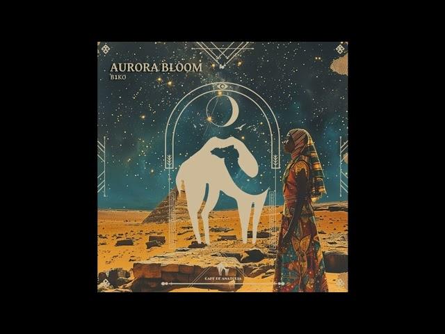 B1ko - Aurora Bloom