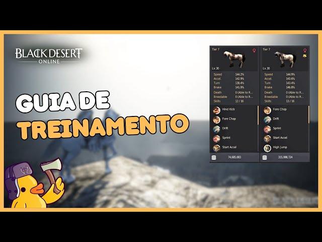 Black Desert Online - Guia de treinamento! Como iniciar no treino desde o zero!