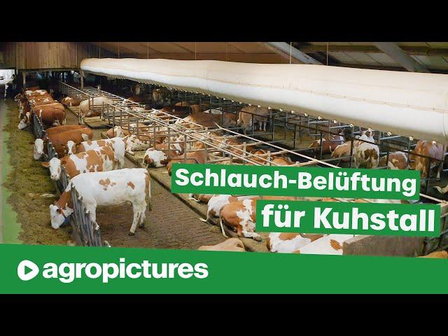 Schlauchbelüftung für Kuhstall am Betrieb Murnauer | Frischluft im Stall | Dr. Knopf & Oswald