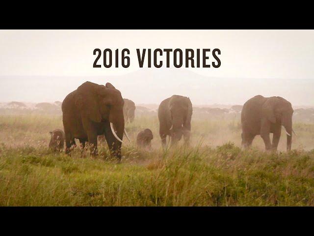 NRDC: The Work We Did Together in 2016