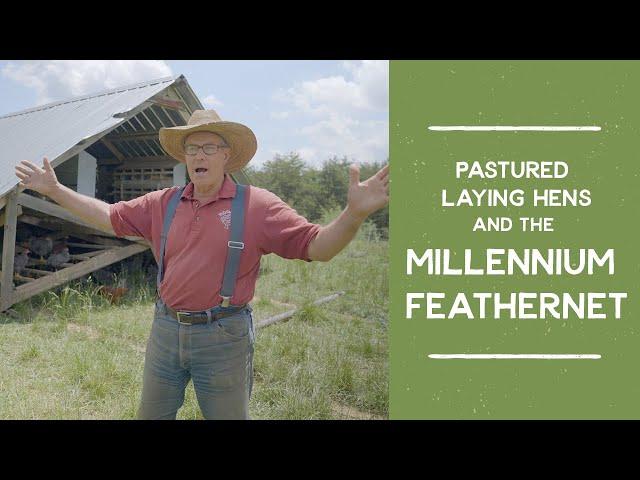 How to Shelter Pastured Egg Laying Hens with the Millennium Feathernet | Joel Salatin