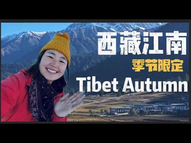 西藏林芝—深入藏族村落，体验一天高山牧场的生活 Tibet Nyingchi Experience a Tibetan village in depth| Hidden China S1EP11