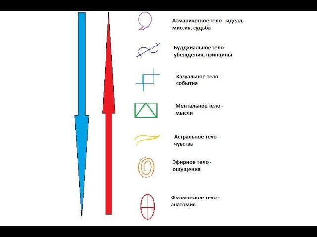 Энергетические потоки в теле человека. Светлана Сарасвати