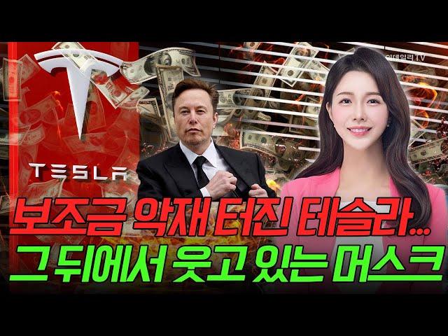 [출근길 경제] 보조금 악재 터진 테슬라... 그 뒤에서 웃고 있는 머스크 | Market Signal (20241115)