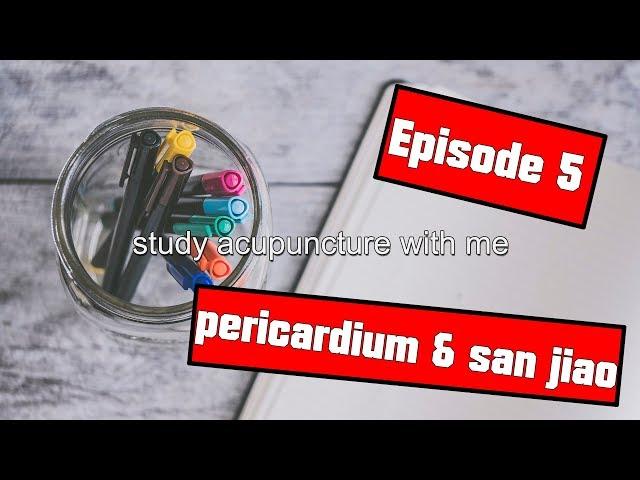 Acupuncture Board Preparation - pericardium and san jiao meridians