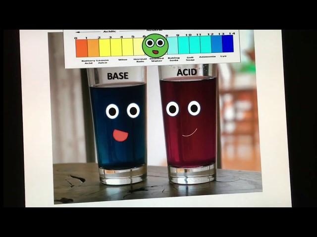 Acids, Bases, and the pH Scale