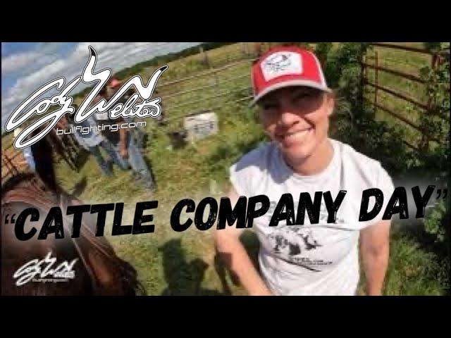 Cattle Company Day - Behind The Chutes #123