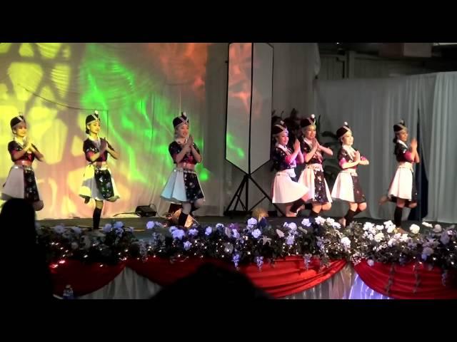 Fresno Hmong International New Year 2013-2014 (Nkauj Hmoob Hli Xiab - Round 1)