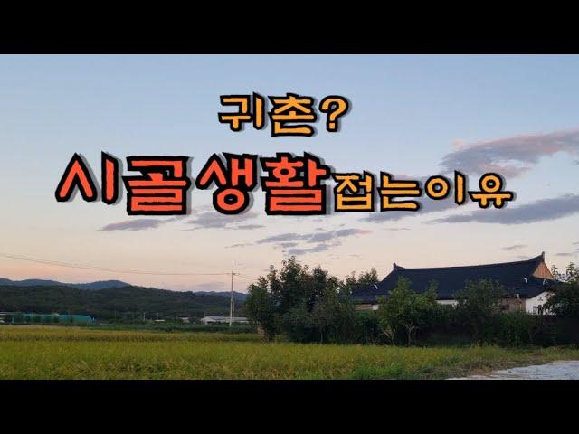 집도 버리고, 시골 생활 포기하는 이유 - countryside life