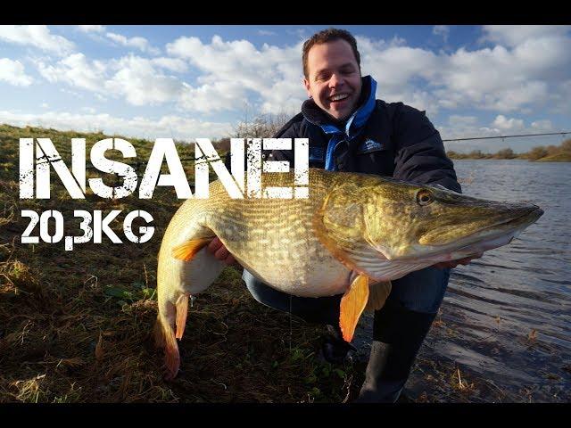 INSANE: Last pike of 2017, 20,3kg! (Underwater footage!)