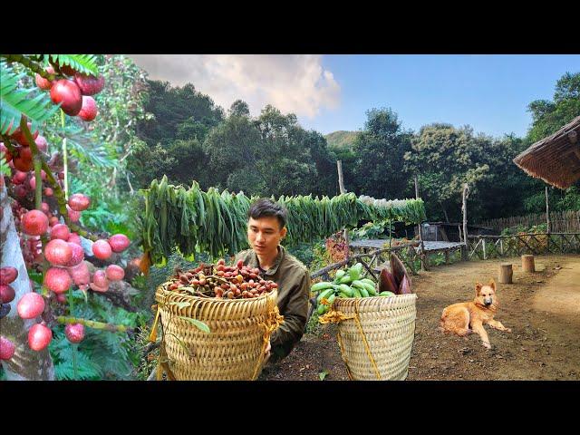 The process of harvesting fruit in the forest and harvest vegetables in the garden