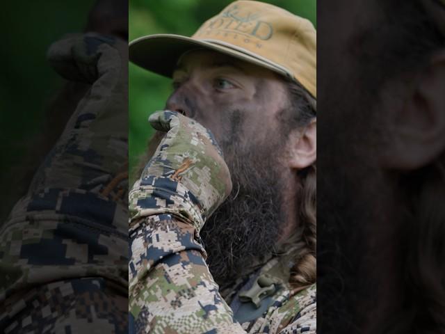 From Gobble to Gone in 10 Seconds #turkey #gobbler #longbeard #wildturkey #strut #gobble #sony #fx3