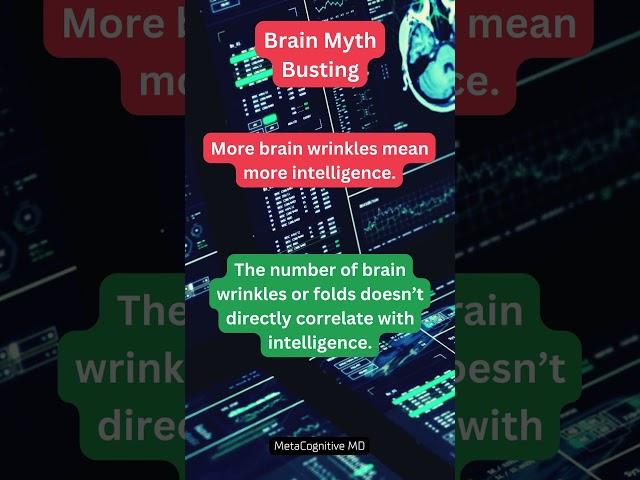 Brain Wrinkles and Intelligence: Beyond the Superficial