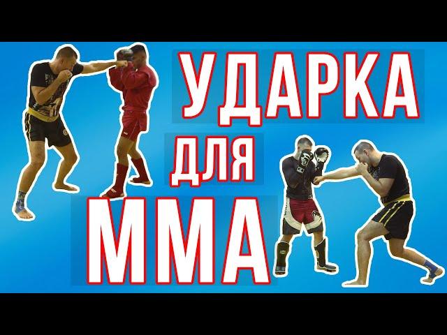 Ударные комбинации для ММА. Балтийские Медведи / Дневник ММА