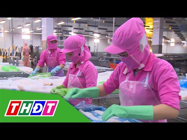 Tin vui cho cá tra xuất khẩu sang Mỹ | THDT