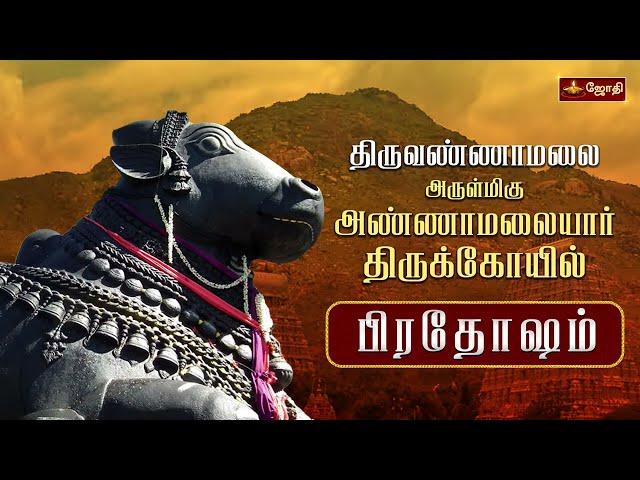 திருவண்ணாமலை ஸ்ரீஅருணாச்சலேஸ்வரர் கோயில் | பிரதோஷ வழிபாடு | Pradosham | Nandhi Abishegam