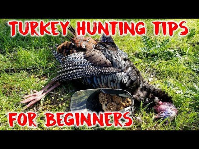 Turkey Hunting Tips for Beginners | Hunting Boot Camp