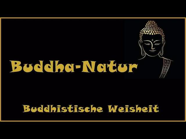 Zur Inspiration: Buddha Natur - Buddhistische Weisheit