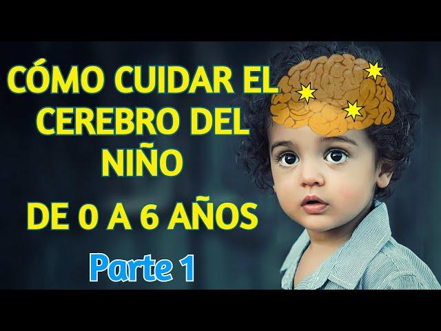 Cómo Cuidar el Cerebro de tu Niño de 0 a 6 Años - Cuidar el Cerebro en la Primera Infancia, Parte 1