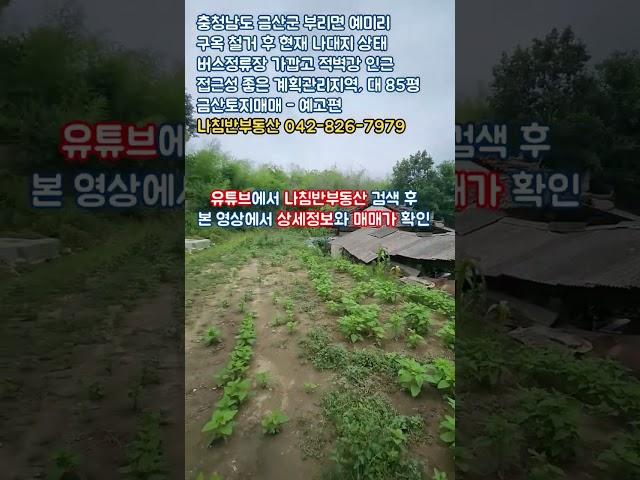 구옥 철거 후 현재 나대지 상태, 버스정류장 가깝고 적벽강 인근 접근성 좋고 포장도로 접한 계획관리지역 대지 85평 금산 부리면 예미리 금산토지매매 금산대지매매 - 예고편