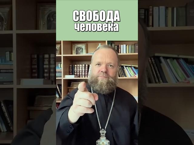 Свобода человека. #человек #свобода #вера #Евгений Куценко